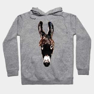 Donkey Hoodie